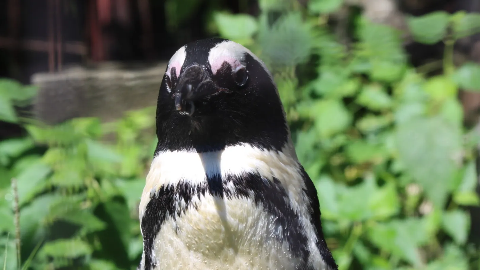 2023年の振り返り