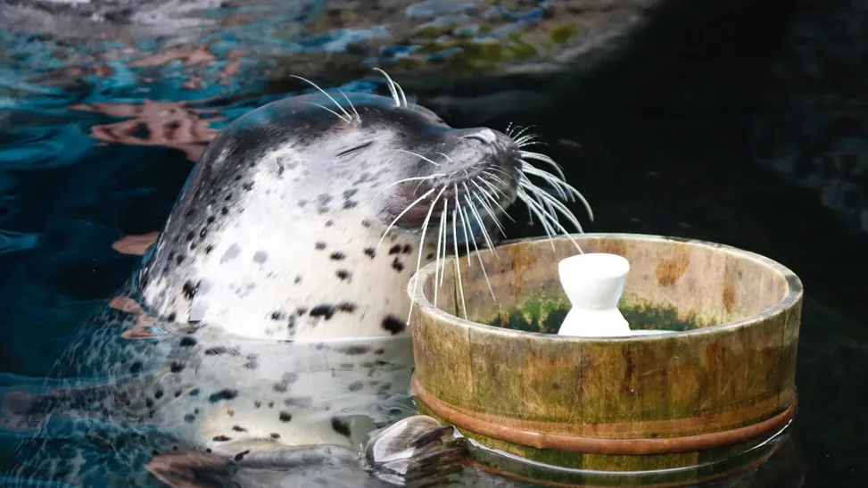 2024年の振り返り