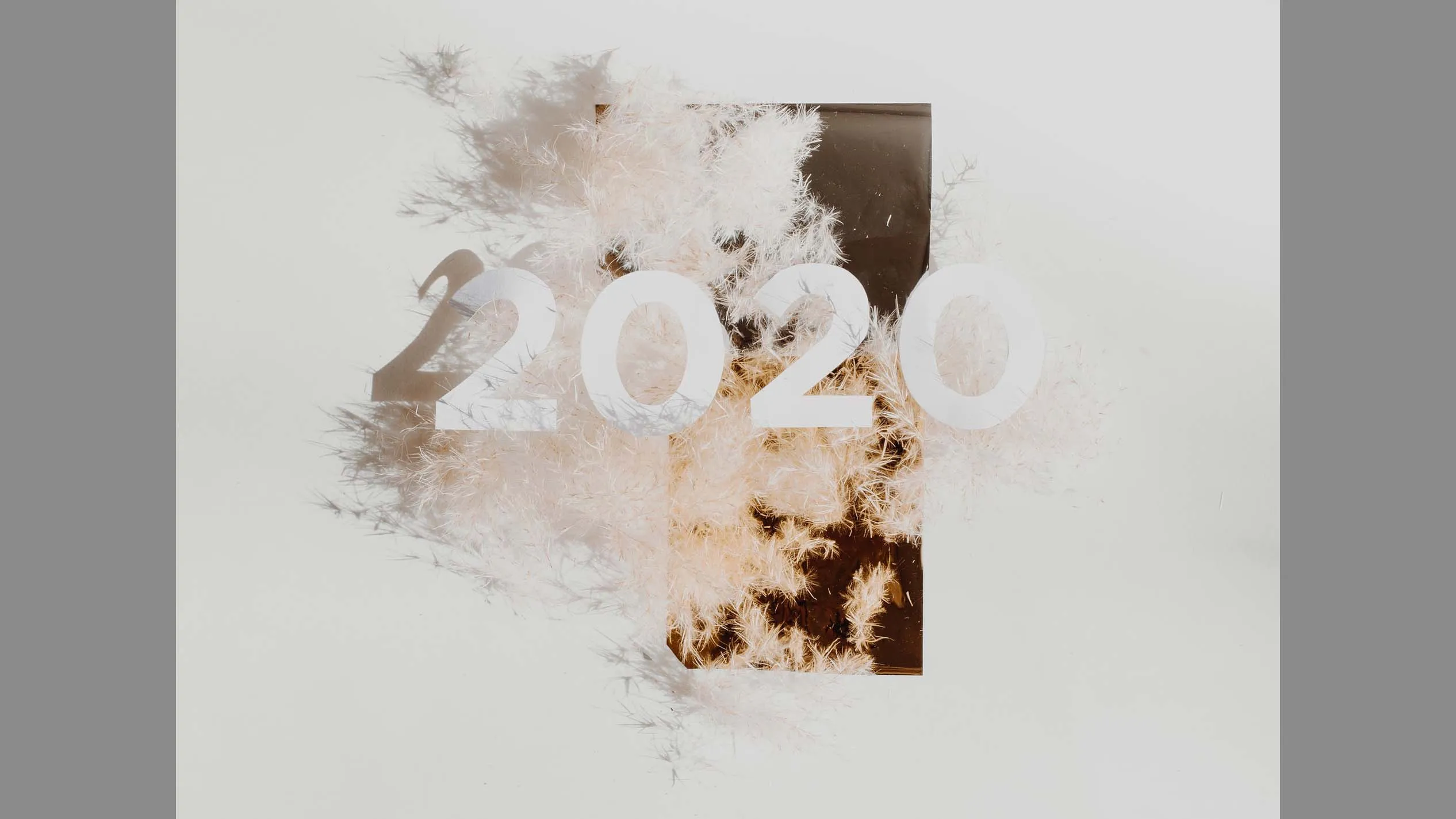 2020年の振り返り