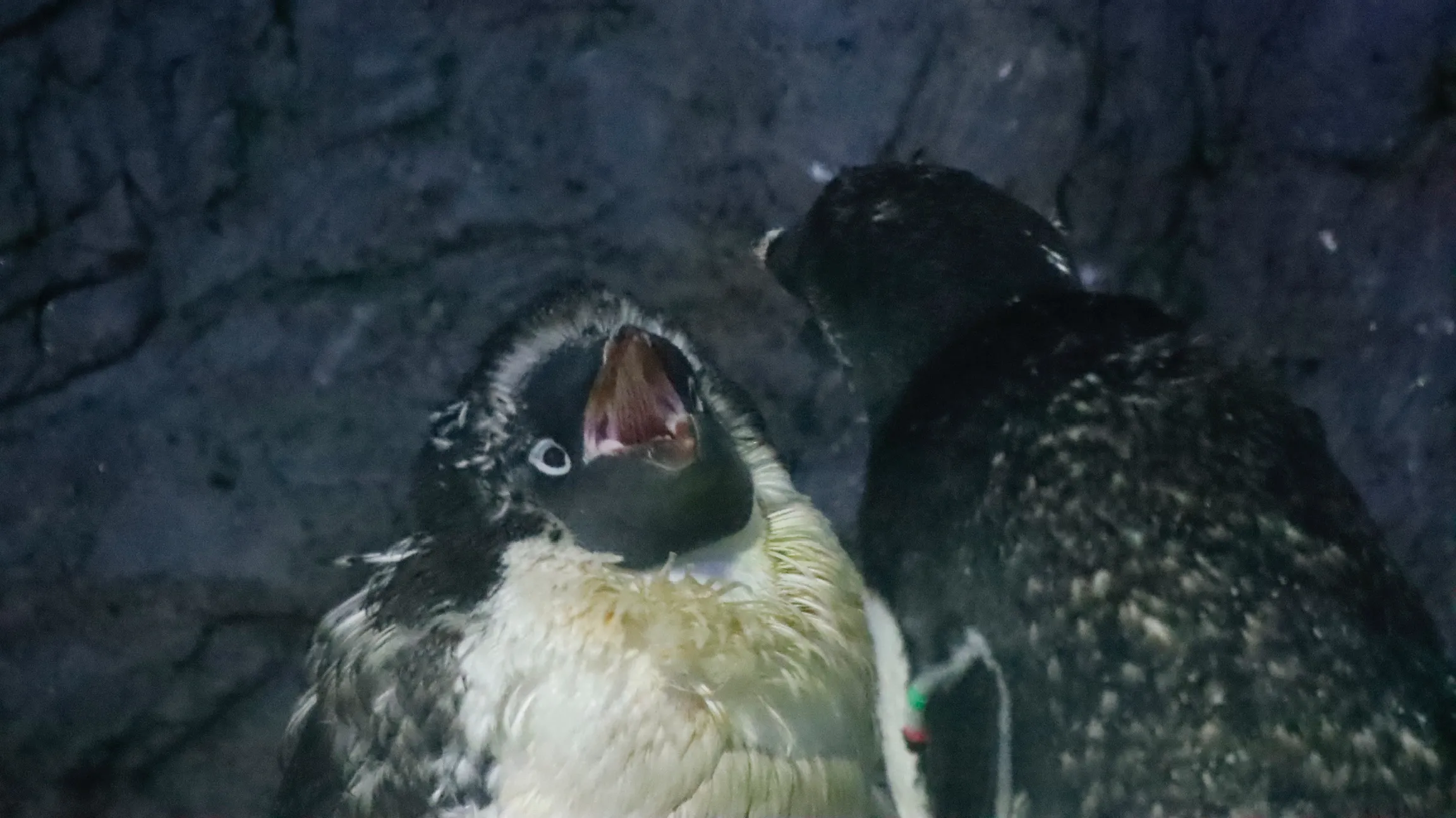 2025年の振り返り