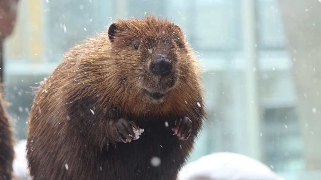 Cover Image for 2022年の振り返り